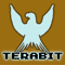terabit.ca - website development and hosting